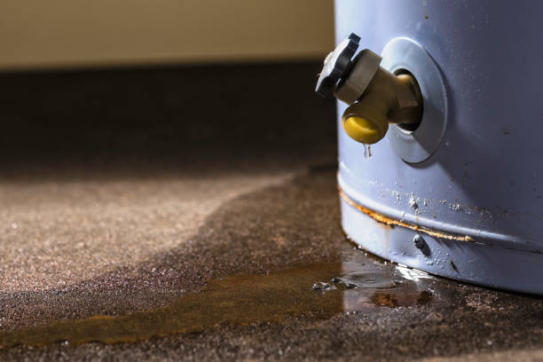 Best Water damage repair service  in Venetian Vlage, IL