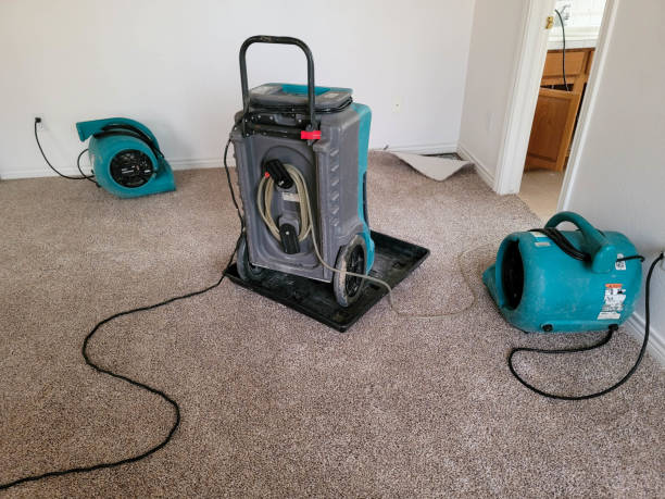 Best Water damage restoration near me  in Venetian Vlage, IL