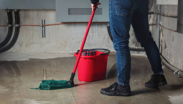 Best Local water damage restoration  in Venetian Vlage, IL