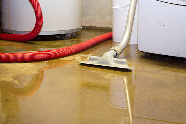 Best Carpet water damage restoration  in Venetian Vlage, IL