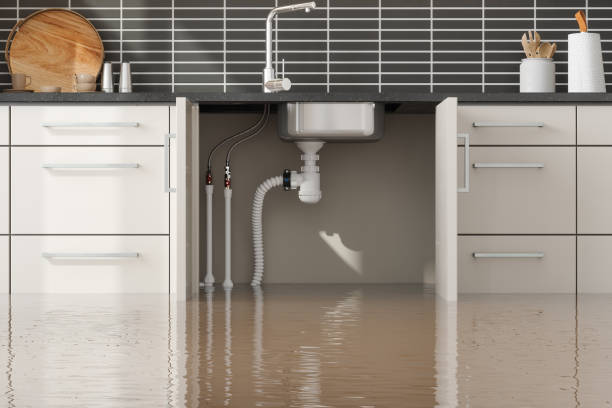 Best 24-hour water damage restoration  in Venetian Vlage, IL