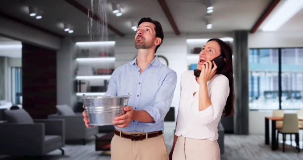 Trusted Venetian Village, IL Water damage restoration Experts